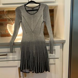 Size SP Black and White Express Dress